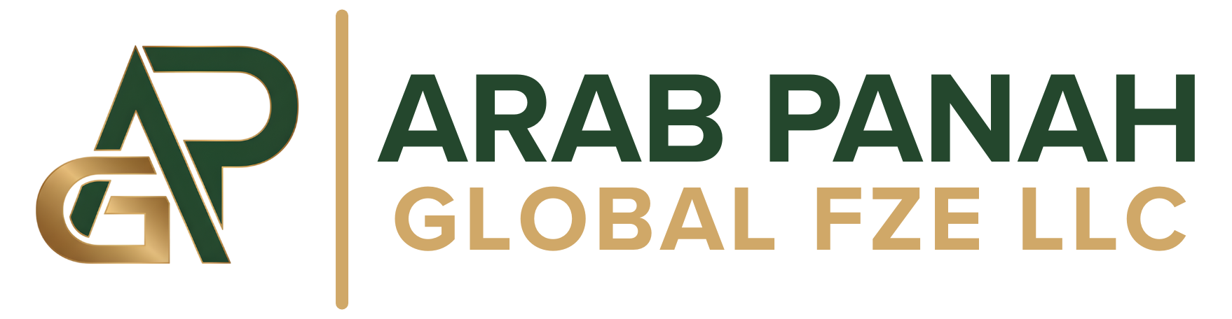 APG FZE LLC Horizontal Logo